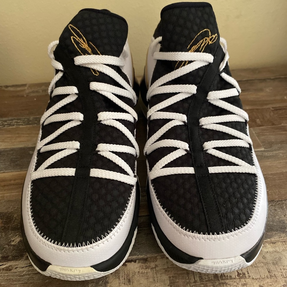 Nike Lebron